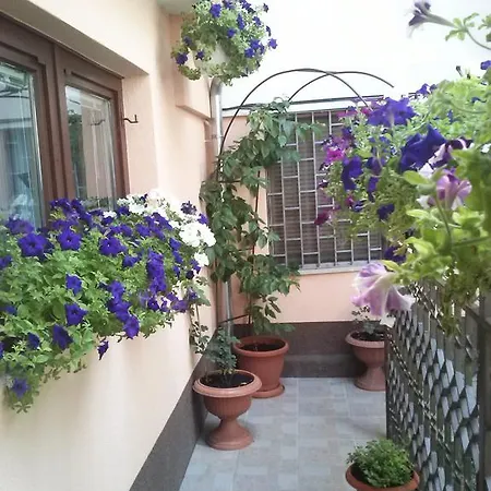 Apartamento Sara